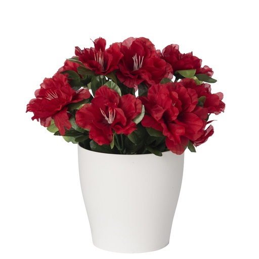 POT DECO AZALEE X9 ROUGE
