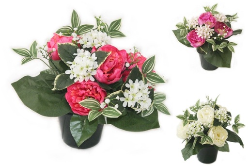 PEONY GYPSO (C+P+F+L) - CO1830