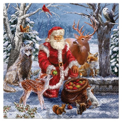 SET DE 20 SERVIETTES EN PAPIER - 3 PLIS - 33x33CM - MOTIF PÈRE NOËL ET LES ANIMAUX