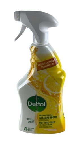 DETTOL NETTOIE TOUT ANTI BACTÉRIEN - 750ML - CITRON