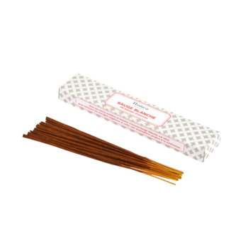 SET DE 20 BATONS D'ENCENS L21CM PARFUM SAUGE BLANCHE