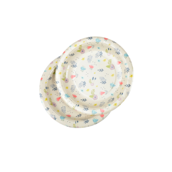 SET DE 6 ASSIETTES EN CARTON D18,5CM JOLIES FLEURS