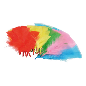 ASSORTIMENT PLUMES ENTRE 5 ET 13CM ENVIRON 50 PIECES