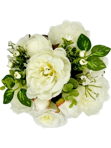 ROSE PEONY BUSH CREAM X13