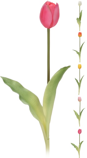 TULIPE MINI 40CM 5 COULEURS ASS.