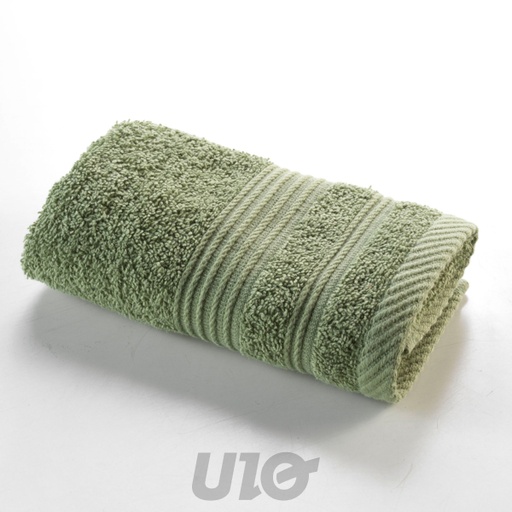 SERVIETTE INVITE 30 x 50 CM EPONGE UNIE TENDRESSE FOUGERE