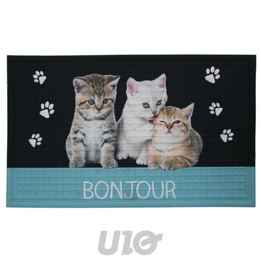 TAPIS RECTANGLE 45 x 75 CM RELIEF IMPRIME CHALUT