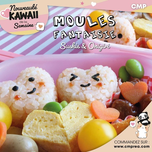 MOULE SUSHI AVEC FORME X5