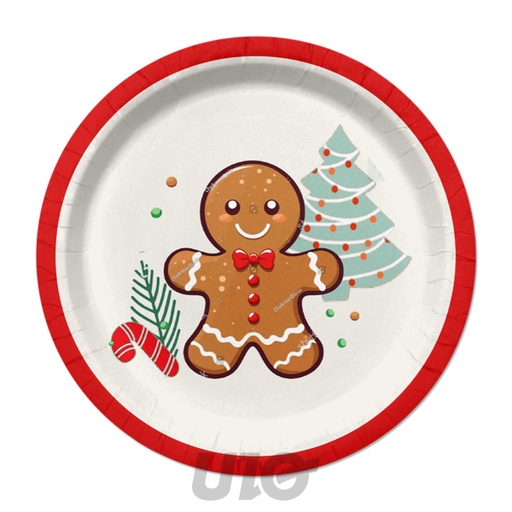 SET DE 6 ASSIETTES EN CARTON - D23CM - MOTIF BISCUIT