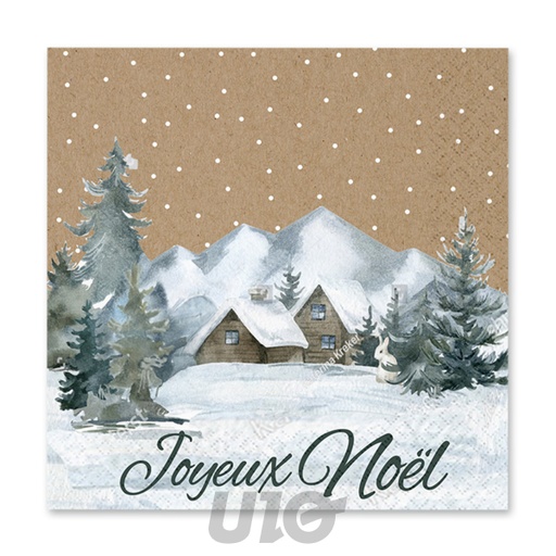 SET DE 20 SERVIETTES EN PAPIER - 3 PLIS - 33x33CM - MOTIF COTTAGE