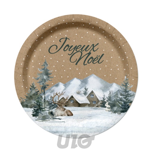 SET DE 6 ASSIETTES EN CARTON - D23CM - MOTIF COTTAGE