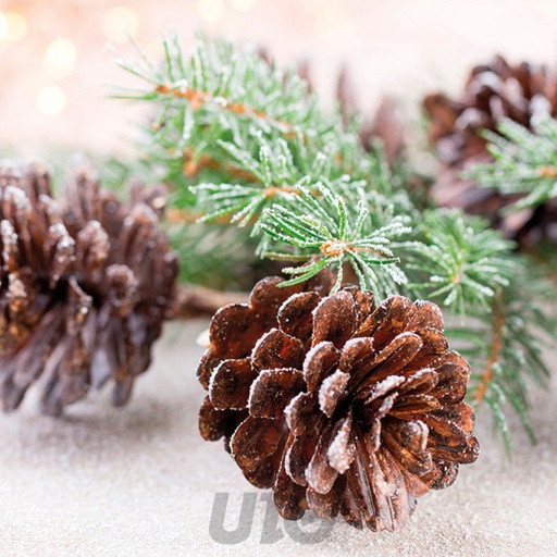 SET DE 20 SERVIETTES PAPIER - MOTIF POMMES DE PIN - 3 PLIS - 33x33CM