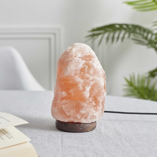 LAMPE DE SEL AVEC SOCLE EN BOIS