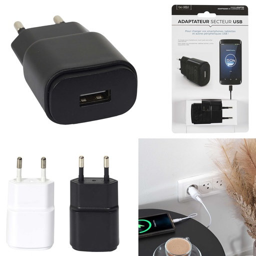 CHARGEUR SECTEUR 1 PORT USB 1A