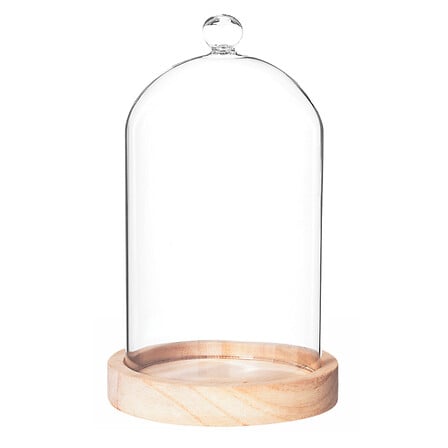 CLOCHE EN VERRE ET BOIS NATUREL - DARA - H19CM