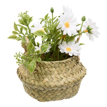 COMPOSITION FLORALE TIFI AVEC MARGUERITE - H20CM