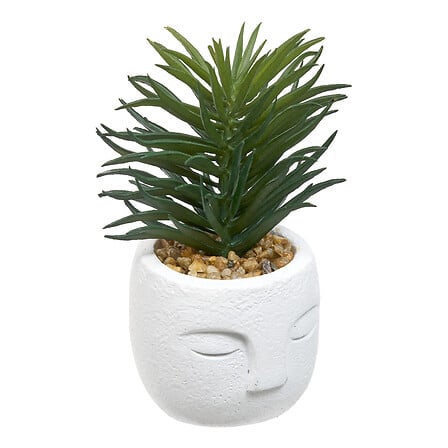 PLANTE GRASSE TERI EN FORME DE VISAGE -  H13CM - POT EN CIMENT - 4 COULEURS DISPONIBLES