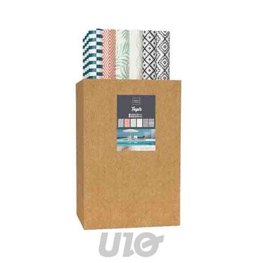 TAPIS RECTANGLE 120 x 170 CM POLYPROPYLÈNE PAILLOTE - 6 MODÈLES DISPONIBLES