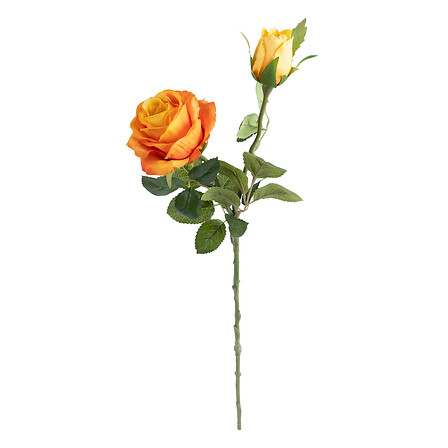 TIGE ROSE DEGRADÉ JAMES - H46CM