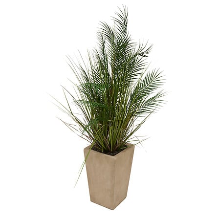 PALMIER EN POT EN CÉRAMIQUE WONJ - H142CM