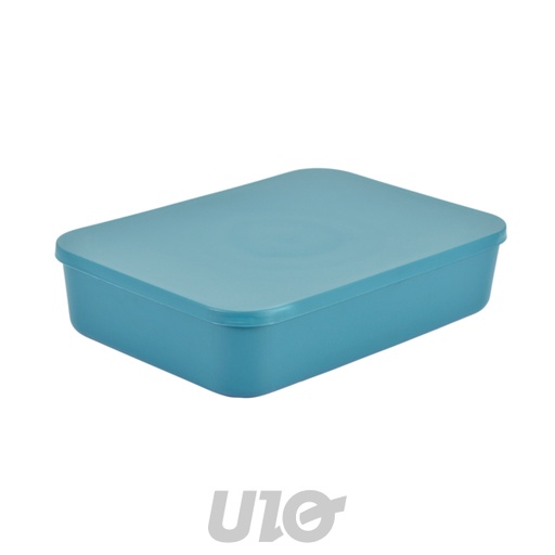 Homea Boîte de Rangement Plastique Émeraude 5,5L avec Couvercle