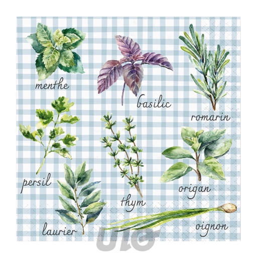 Homea Serviettes Papier Lot de 20, 3 Plis 33x33cm, Plantes Aromatiques Vichy