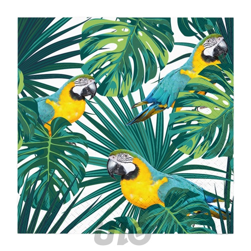Homea Lot 20 Serviettes Papier 3 Plis Perroquets Tropicaux 33x33cm
