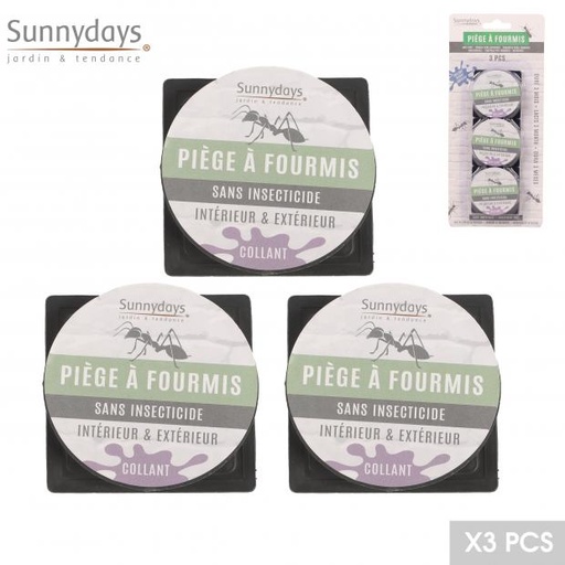 Sunnydays Piège à Fourmis Collant Sans Insecticide Int/Ext (Lot de 3)