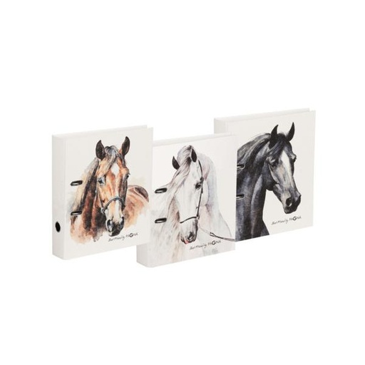 CLASSEUR A LEVIER CHEVAL