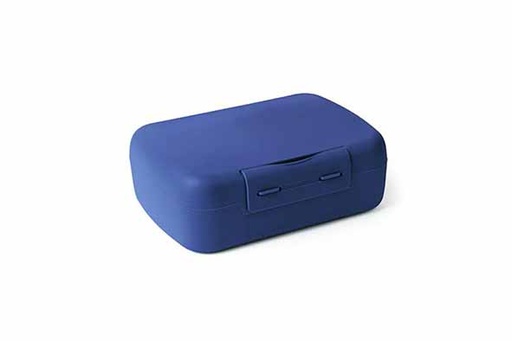 Day to Day Essentiels Boîte à Brunch Nomade Bleu Cobalt 21x15x7,5cm