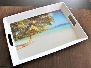 [TS-2030.PALM] PLATEAU GÉANT "PALMIER" 5.5X37.5X5CM